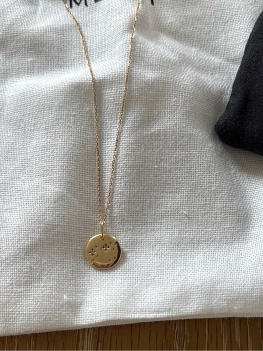 EUC! Mejuri Leo 14K Gold Charm Pendant + 14K Delicate Chain Necklace - Picture 2 of 6